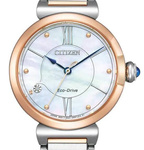 Zegarek Citizen Classic EM1074-82D