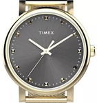 Zegarek Timex  Essential  TW2W19500