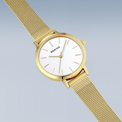 Zegarek Bering Classic 13434-334-GWP