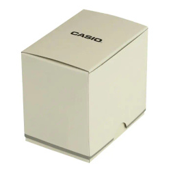 Zegarek Casio Vintage ABL-100WEG -9AEF