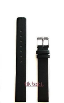Pasek do zegarka Skagen 358XSSLBC