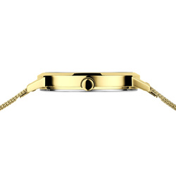 Zegarek Bering Classic 13434-330