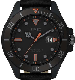 Zegarek Timex Harborside Coast TW2V42300
