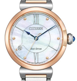 Zegarek Citizen Classic EM1074-82D
