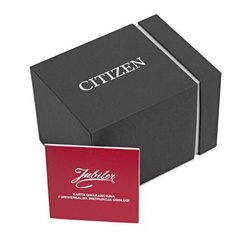 Zegarek Citizen Titanium  Eco-Drive AW0130-85LE