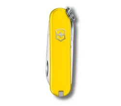 Scyzoryk Victorinox Classic SD, żółty 0.6223.8G